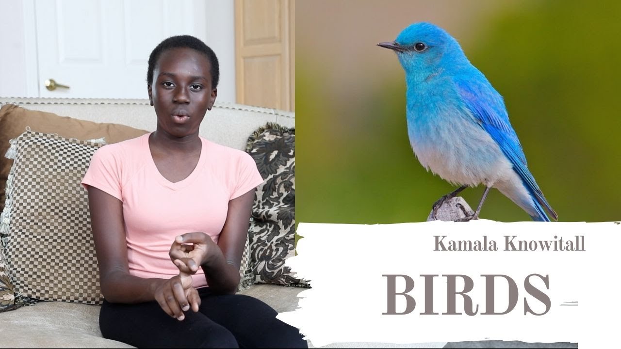 BIRDS: Learning for Kids II KamalaKnowitall