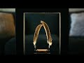 This Slow Motion Dance Feather Illusion Will FOOL Your Eyes!!