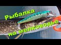 Рыбалка на мелководье. Рыбалка на заливах реки Ангары.