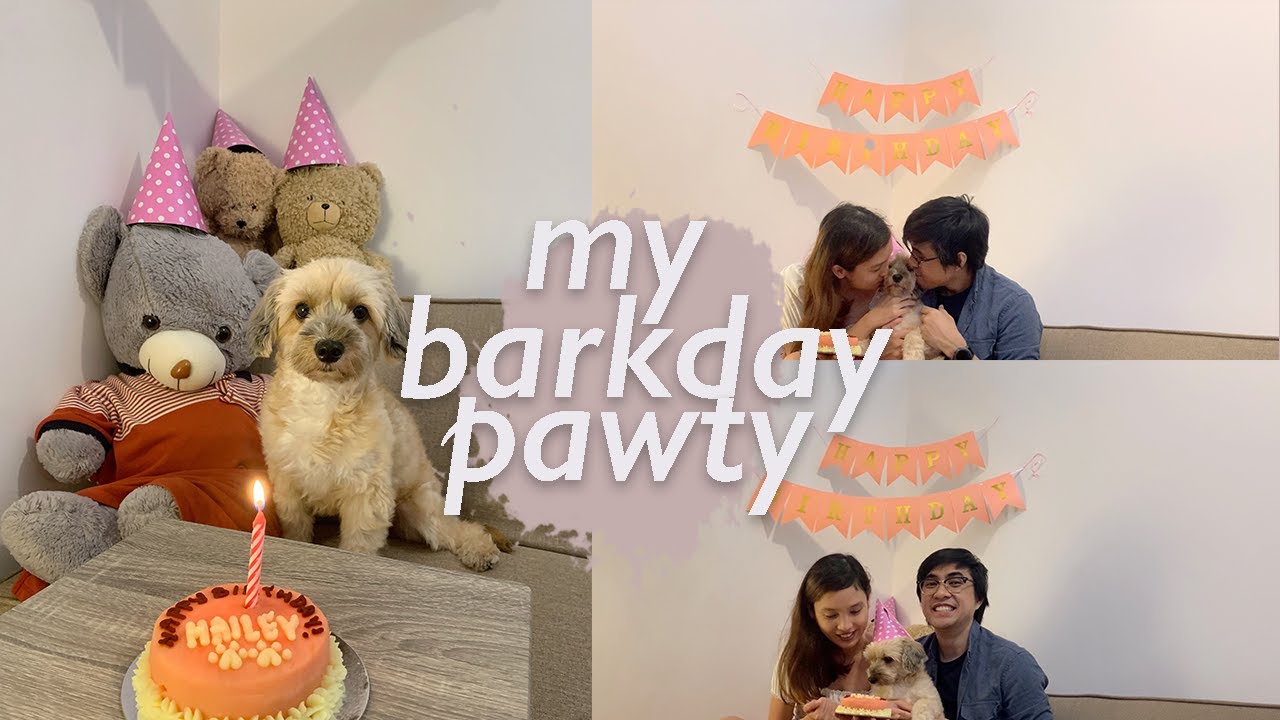IT'S MY BARKDAY| My Dog's Birthday Celebration (5th birthday party)