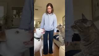 Cat Points, Dog Barks, Owner Listens!