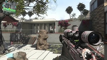 BriN: Dare RC response (ds1) LOST!