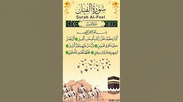 Surah Al-Fil | سورة الفيل |  Army of the Elephant | #surahfeel #quran #yt #viral #sabhatti4