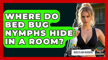 Where Do Bed Bug Nymphs Hide In A Room? - Insects and Invaders