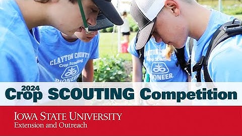 Crop Scouting Competition 2024