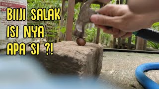 Capek 4 hari nunggu render Animasi gagal terus 😭 Mending mecahin biji salak