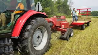 Bailing first cutting hay with the Massey 5445 and case 8530 inline square baler