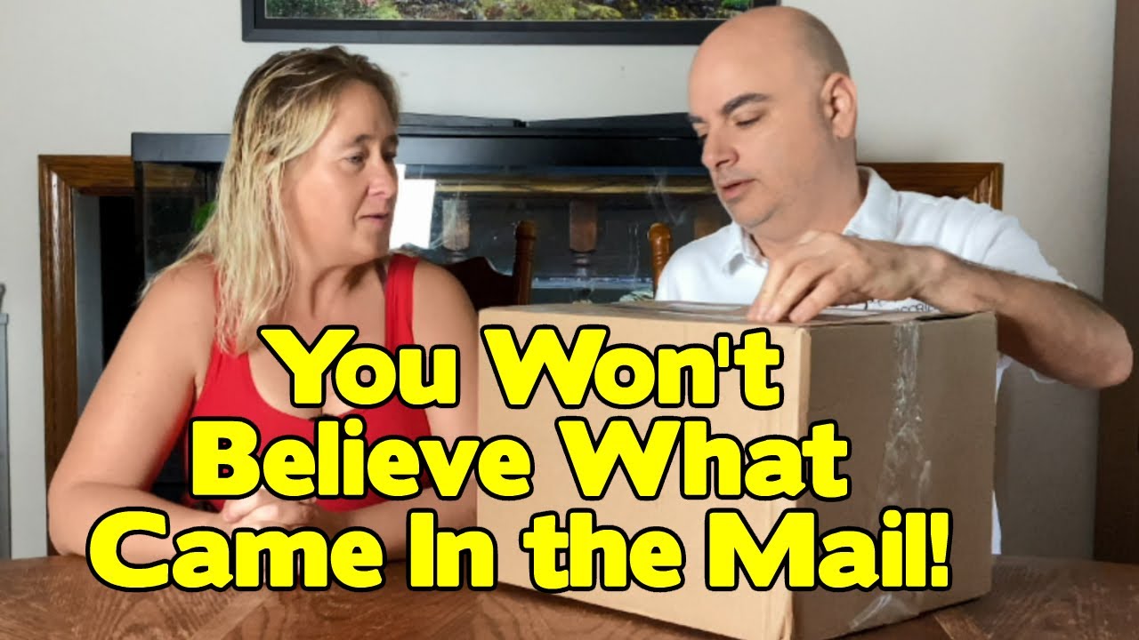 You Wont Believe What Came In The Mail Today