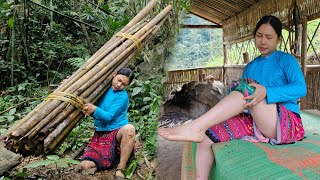 17 year old girl: Treating her injured leg in the middle of the forest, green forest girl