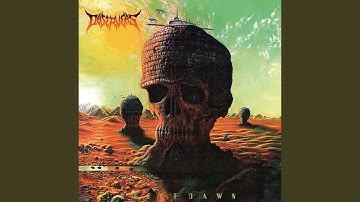 Swallows In The Mist