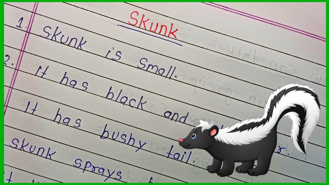 5 Line On Skunk in English | Essay on Skunk | Skunk Essay Writing | Skunk Par Essay Writing