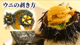 身の詰まり具合の判別方法はある？ウニの剥き方・さばき方