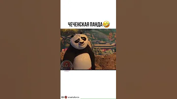 Чеченская панда 