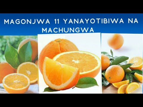 Video: Jinsi Ya Kugawanya Machungwa