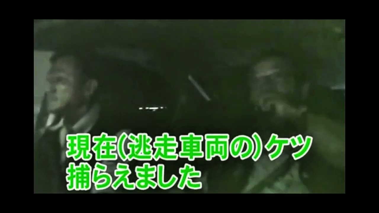踊る！大警察24時！深夜の大追跡スペシャル！凶悪犯を逮捕せよ！神奈川県警察本部機動捜査隊杉浦明臣警部補！逮捕の瞬間！衝撃映像！