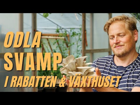 Kan en Total