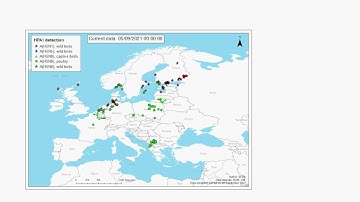Highly pathogenic avian influenza virus in Europe between 15 May and 15 September 2021