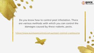 Pest Control In Cranbourne | Types Of Pest Control