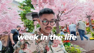 Week in the Life of a 40-Year-Old Content Creator