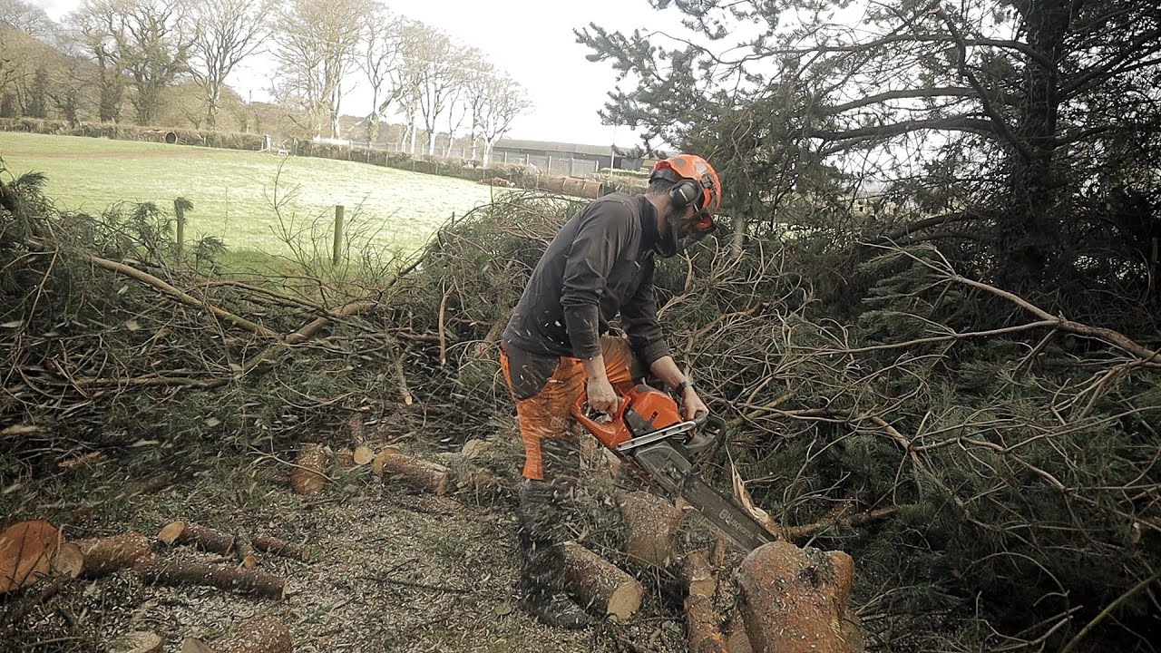 Storm Clean Up Is Finished - Did I learn Anything? - YouTube