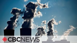 Huge carbon emissions cuts needed, UN climate report finds