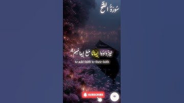 اكتب شيء تؤجر عليه 🤍 🤲🏻 #quran #اسلام #قرآن #راحة_نفسية #سورة_الفتح