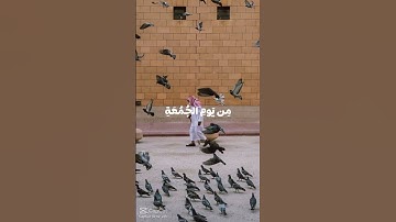 سورة الجمعة #اطمئن_وتوكل_على_الله #اكسبلور #لايك #قرآن_كريم #قرآن