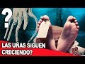 Esto le pasa a tu cuerpo después la vida // Mitos