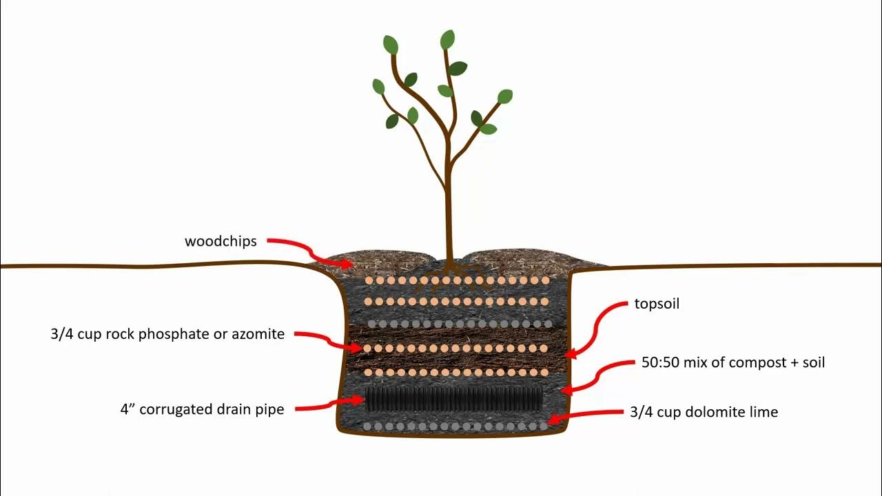 Planting Trees in the snow using the Ellen White Method (and why GoPro