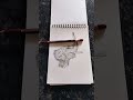 elephant drawing
