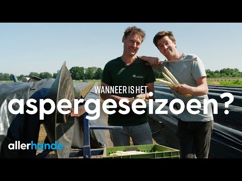 Video: Wanneer is fage ontdek?