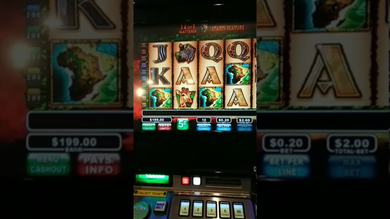 D Thrills wild life slot machine max bet 200 could of been better