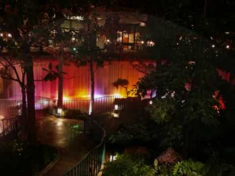 wonderland by night bert