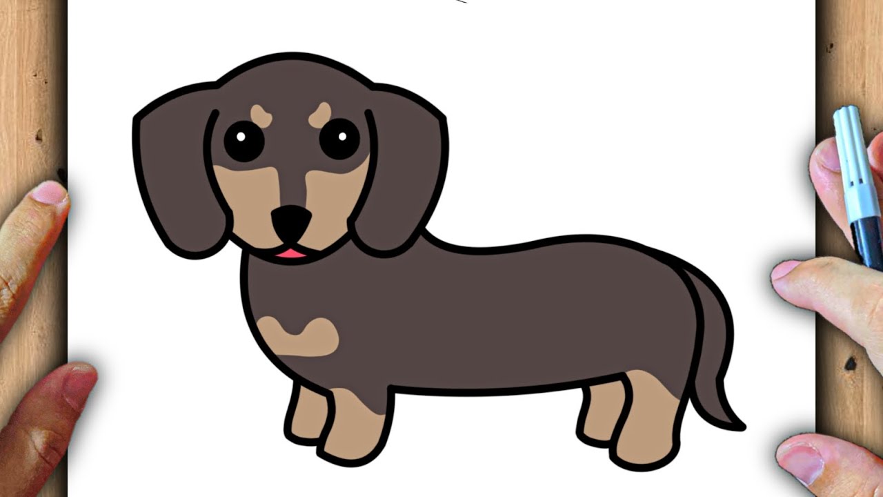 C MO DIBUJAR UN PERRO SALCHICHA YouTube c-mo-dibujar-un-perro-salchicha-youtube