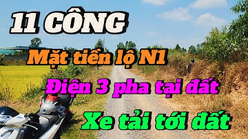 ( số 303 ) 12 công đất lúa mặt tiền lộ N1 - xe tải vi vu,điện 3 pha tại đất tại Mộc Hóa - Long An
