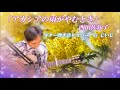 「アカシアの雨がやむとき」西田佐知子 ギター弾き語りカバー by じいじ (一発録り)