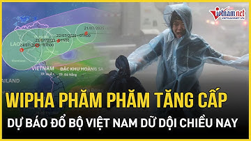 Dự báo khẩn: Bão số 3 WIPHA phăm phăm đổ bộ VN cường độ cực mạnh, Hưng Yên-Thanh Hoá hứng tâm bão