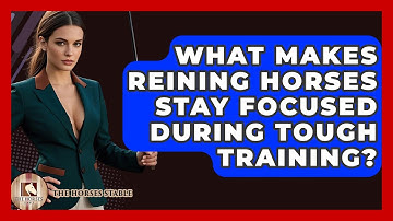 What Makes Reining Horses Stay Focused During Tough Training? - The Horses Stable
