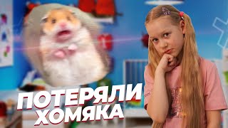 🐹 Хомяк сбегает из своего дома 🐹 Хомяк тикток. (20.1 млн подписчиков 😲) Tiktok. Тикток. Тренды.