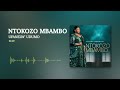 Ntokozo Mbambo - Ufanelw’ Udumo (Audio)