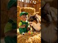 Funny Monkey and Funny cat#comedy #shorts  #funnyvideo #humor#viralvideo #funnyanimals #cuteanimals