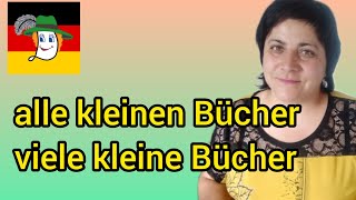 101. Alle kleinen/ viele kleine - чому?