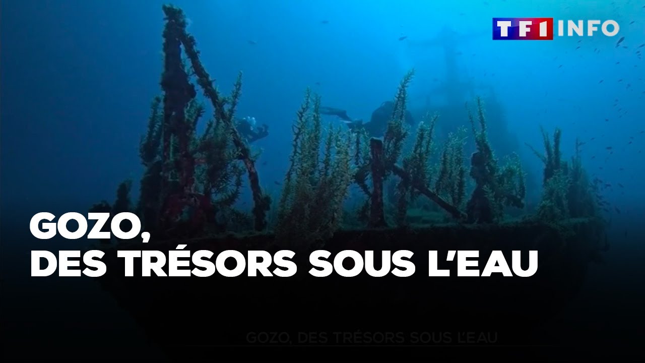 Gozo : des trésors sous l'eau｜TF1 INFO