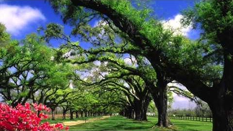 سورة يونس عبدالرحمن السديس - Surah Yunus Abdulrahman Al-Sudais