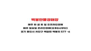 징징백봉경매장11,20 토,주북로73번길110-5이사하고 첫날
