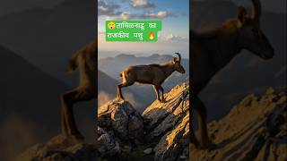 #animalfacts #NilgiriTahr #WesternGhats #WildlifeIndia #EndangeredSpecies #tamilnadustateanimal