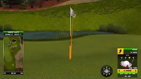 Golden Tee Great Shot on Hollywood Hills!
