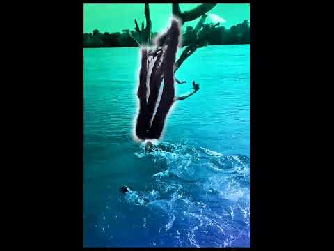 ผลสลากกินแบ่งรัฐบาล วันที่ 1 พย. 2567