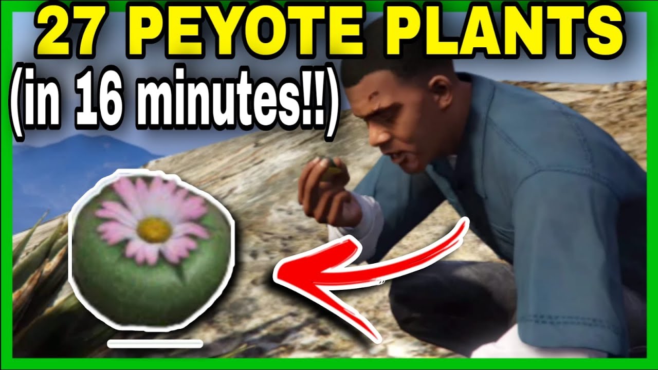 How To Find All 27 Peyote Plants In GTA 5 All Peyotes Location GTA V how-to-find-all-27-peyote-plants-in-gta-5-all-peyotes-location-gta-v