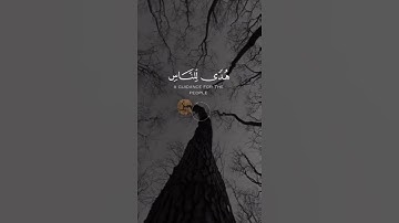 سورة البقرة " شهر رمضان الذي أنزل فيه القرآن هدى للناس وبينات......."